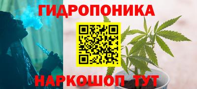 apvp Пушкино