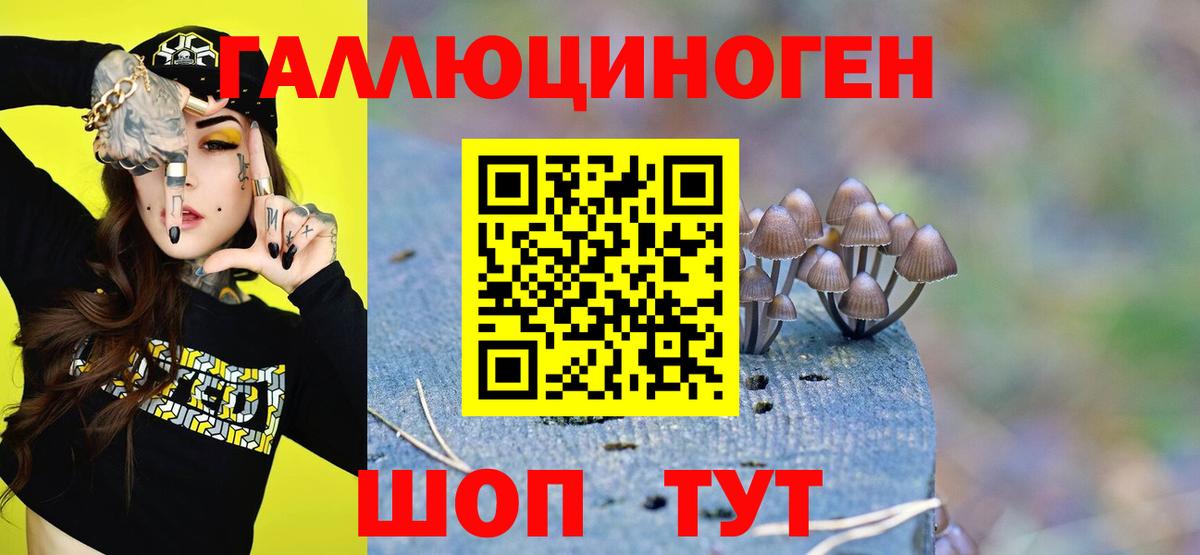 Октябрьский  Псилоцибиновые грибы Psilocybine cubensis  Вход с VPN  Псилоцибиновые грибы Psilocybe 