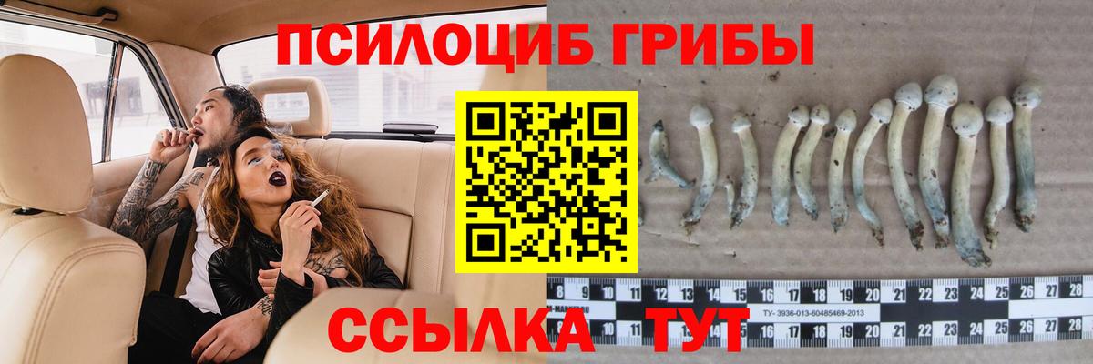 Псилоцибиновые грибы мицелий Октябрьский